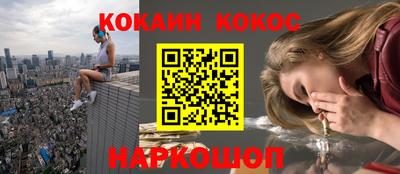 индика Дубна