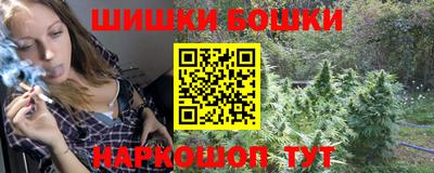 индика Дубна