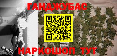 индика Дубна