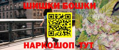 индика Дубна