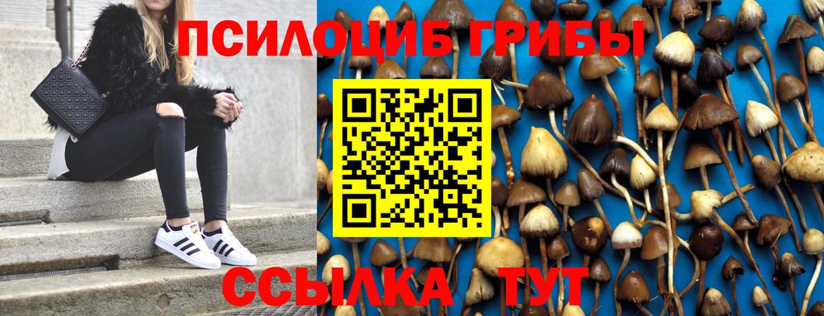 Псилоцибиновые грибы мухоморы  Галлюциногенные грибы Magic Shrooms  Калач-на-Дону  Вход с VPN 